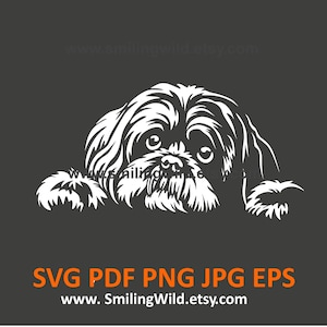 Gluren Shih Tzu SVG & PNG hond gezicht vectorbestanden | Schattige hond witte hoektand clipart voor Cricut, silhouet, lasergesneden bestand aangepast portret