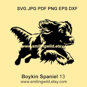 Boykin-spaniël SVG & PNG, DXF – Realistische lopende jachthond honden clipart Vectorafbeelding voor Cricut, lasersnijden - Instant Download