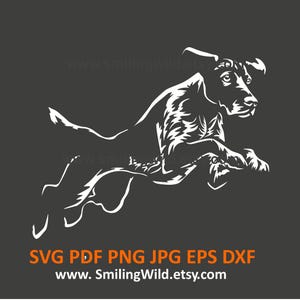 Deutscher Kurzhaar-Springer SVG, PNG, DXF - Agility-Hund Weiß Eckige Vektor-Clipart - Cricut & Laser Cut Projekte - zum Download