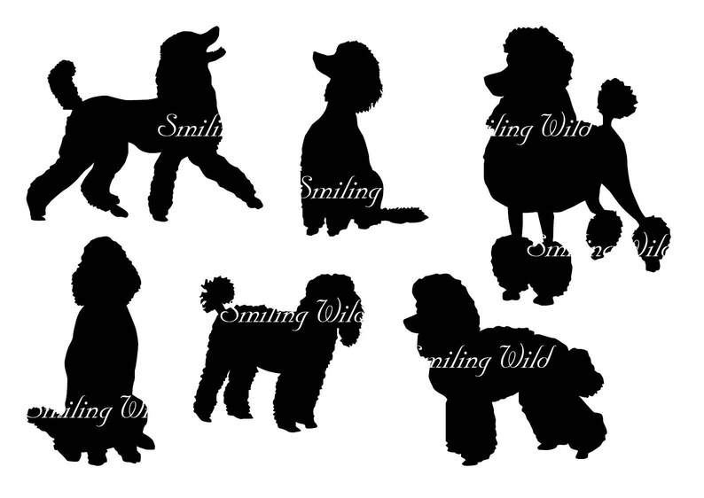 Download Poodle svg silhouette dog clipart cut out vector graphic art | Etsy