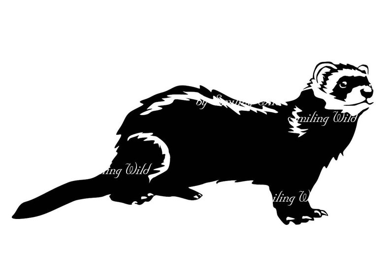 Ferret Svg Clipart Vector Graphic Art European Polecat Etsy