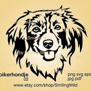 Kooikerhondje hond svg clipart portret vector grafische kunst hond hoofd Kooikerhondje clipart gesneden bestand cricut en lasersnijden