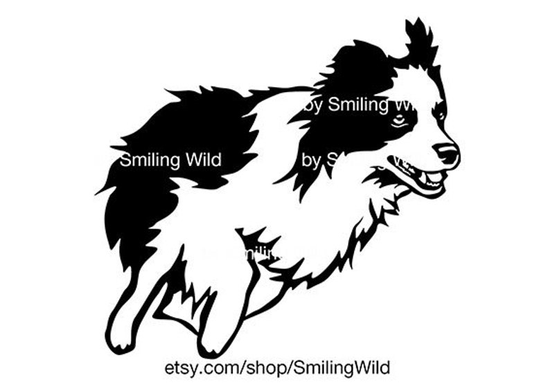 Download Running border Collie svg dog cut file cuttable vector ...