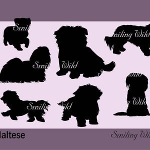 maltese silhouette svg png vector graohic art maltese dog artwork art printable instant download commercial use design digital clipart
