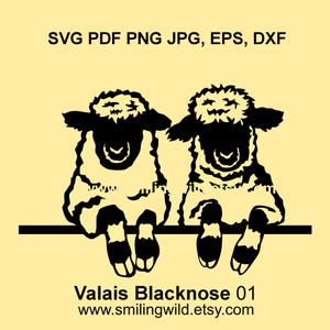 Pecora dal naso nero del Vallese che fa capolino SVG PNG DXF - Agnello realistico per la progettazione del logo - Grafica vettoriale, artigianato, Cricut, taglio laser, incisione