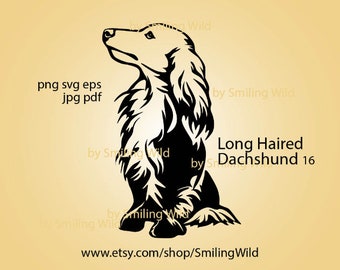 Long haired dachshund svg portrait clip art, dog head vector graphic art, dachshund cut file cricut, cuttable digital design