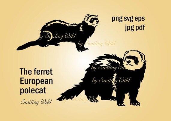Ferret Svg Clipart Vector Graphic Art European Polecat Printable