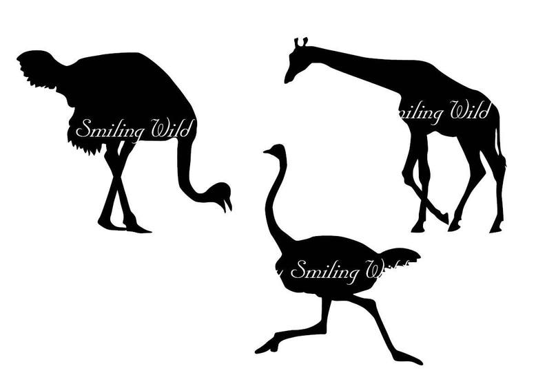 Download Savannah animal svg silhouette cheetah clipart ostrich ...