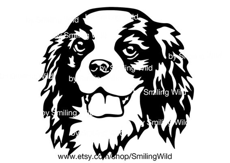 Cavalier King Charles Spaniel portrait dog peeking svg vector | Etsy