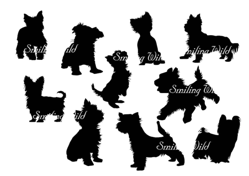 Yorkshire terrier svg yorkie silhouette cut file yorkshire ...