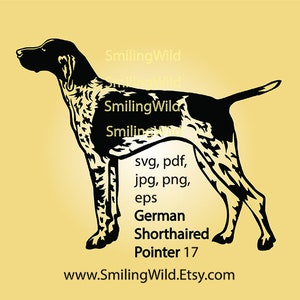 Deutscher Kurzhaar Hund svg & png Hund Ganzkörper - Kurzhaar-Schnitt-Datei Clipart, Zeigehund schneidbar Vektor, BEGRENZTE Verwendung, Instant Download
