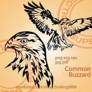 Vliegende vogel buizerd svg vector grafische kunst buizerd roofvogels clipart lasergesneden bestand Graveerbare cricut buizerd digitaal ontwerp valkerij svg