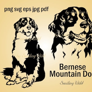 Berner Sennenhund svg eps Vektorgrafik-Porträt berner Sennenhund Clipart druckbares Design digital png cut Datei