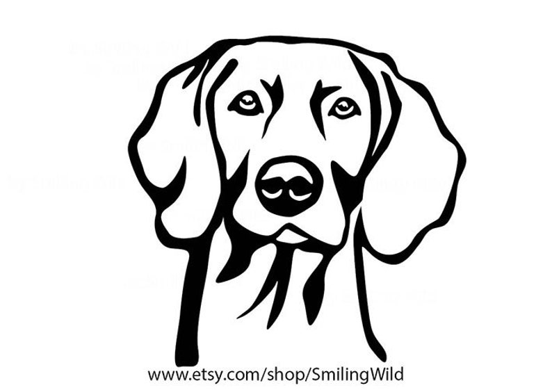Weimaraner Svg Vector Graphic Art Clipart Pet Artwork Dog | Etsy