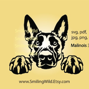 Gluren Mechelaar hond svg png hoofd vectorillustratie, Belgische herder Graveerbare digitale clip art design, hondenshow poten