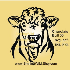 Charolais bull Cattle svg cuttable clip art design, charolais bull vector grpahic digital file, bull design