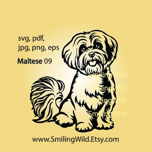 Maltese dog svg clip art cute dog vector graphic art Maltese cricut cut file cuttable maltese digital design
