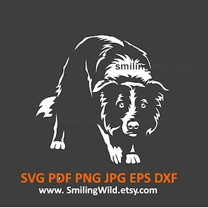 Könnte beinhalten: Eine weiße Grafik eines Border Collie-Hundes auf dunklem Grauhintergrund. Der Hund blickt nach vorne. Darunter stehen die Worte "SVG PDF PNG JPG EPS DXF" und eine Website-Adresse. Die Konturen des Hundes sind detailliert.