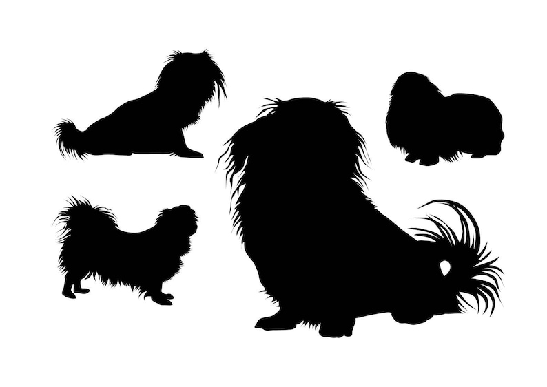 Pekingese svg silhouette clipart Peking Lion Dog peke svg ...