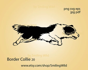 Border collie svg running dog cut file digital cuttable Border collie clipart vector art dog agility svg design