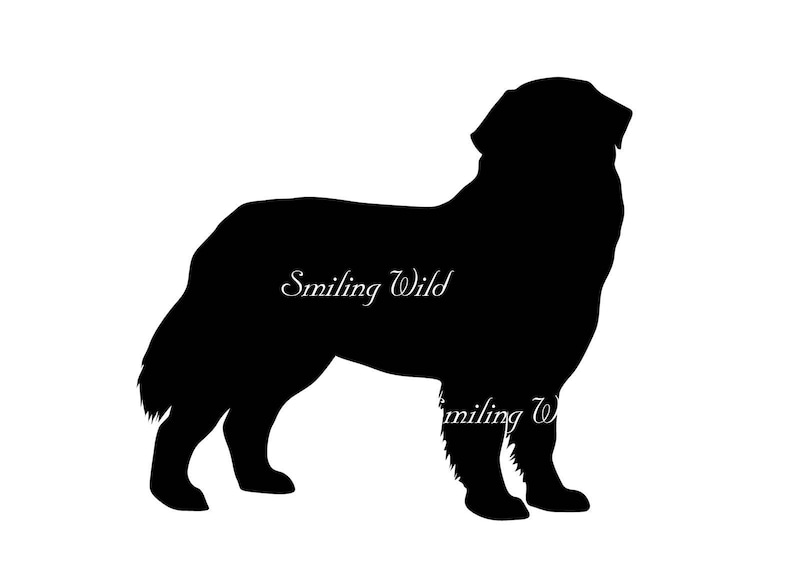 Free Free 202 Mountain Dog Svg SVG PNG EPS DXF File