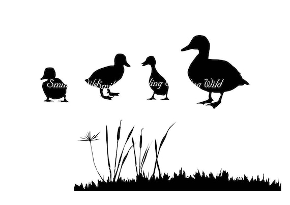 Duck Svg Silhouette Clipart Duckling Art Duck Family Waterfowl Ente  Printable Ducks Instant Download Birds Cutout Grass Bird Vector Graph -  Etsy Denmark