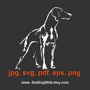 Ungarische Vizsla svg Vektorgrafik Vizsla geschnitten in Weiß Druck auf schwarz Vizsla Laser-Schnittdatei schneidbar Hundelogo Cricut-Svg-Design