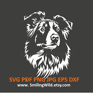 Bordercollie hoofd clipart SVG PNG DXF-bestanden – realistische hond Canine vectorbestand voor Cricut, silhouet en lasergesneden – direct downloaden