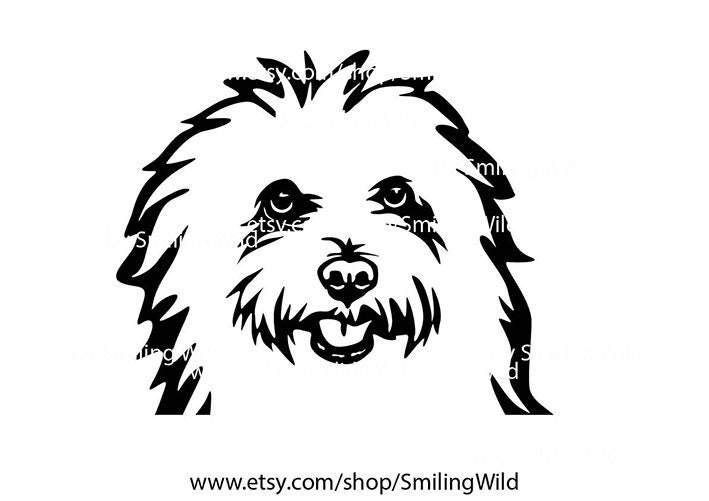 Bolognese Dog Svg Clipart Vector Graphic Art Bolognese Etsy