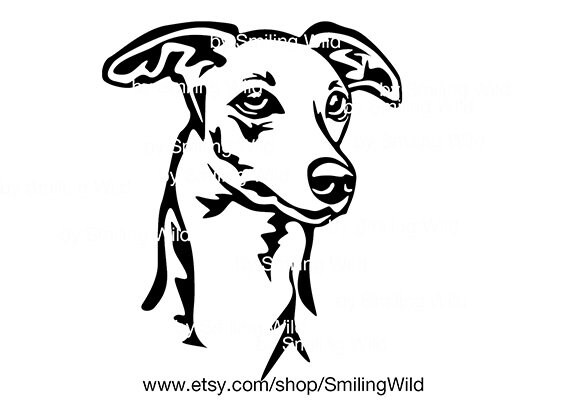 Whippet svg clipart portrait head dog vector graphic art | Etsy