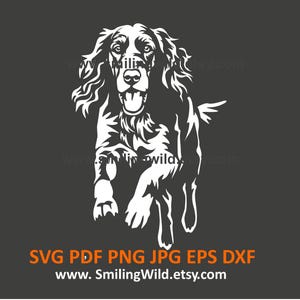 Ierse setter SVG, PNG, DXF Digitale download - jachthond witte hoektand clipart - vectorgrafisch bestand voor Cricut & lasersnijden doe-het-zelfprojecten