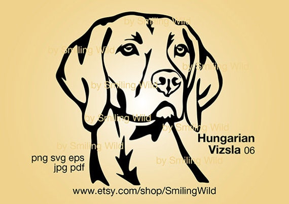 Vizsla Dog Face Vector Graphic Portrait in SVG PNG Clipart files