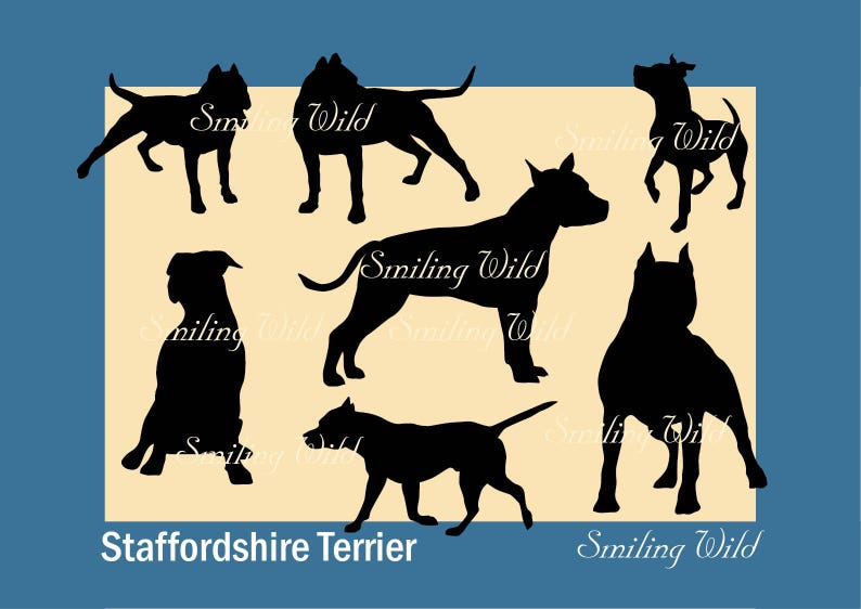 Download Amstaff svg American Staffordshire Terrier svg silhouette ...