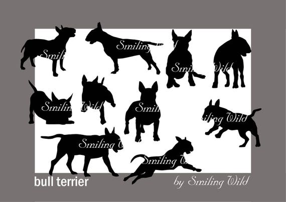 Free Free 328 English Bull Terrier Svg SVG PNG EPS DXF File
