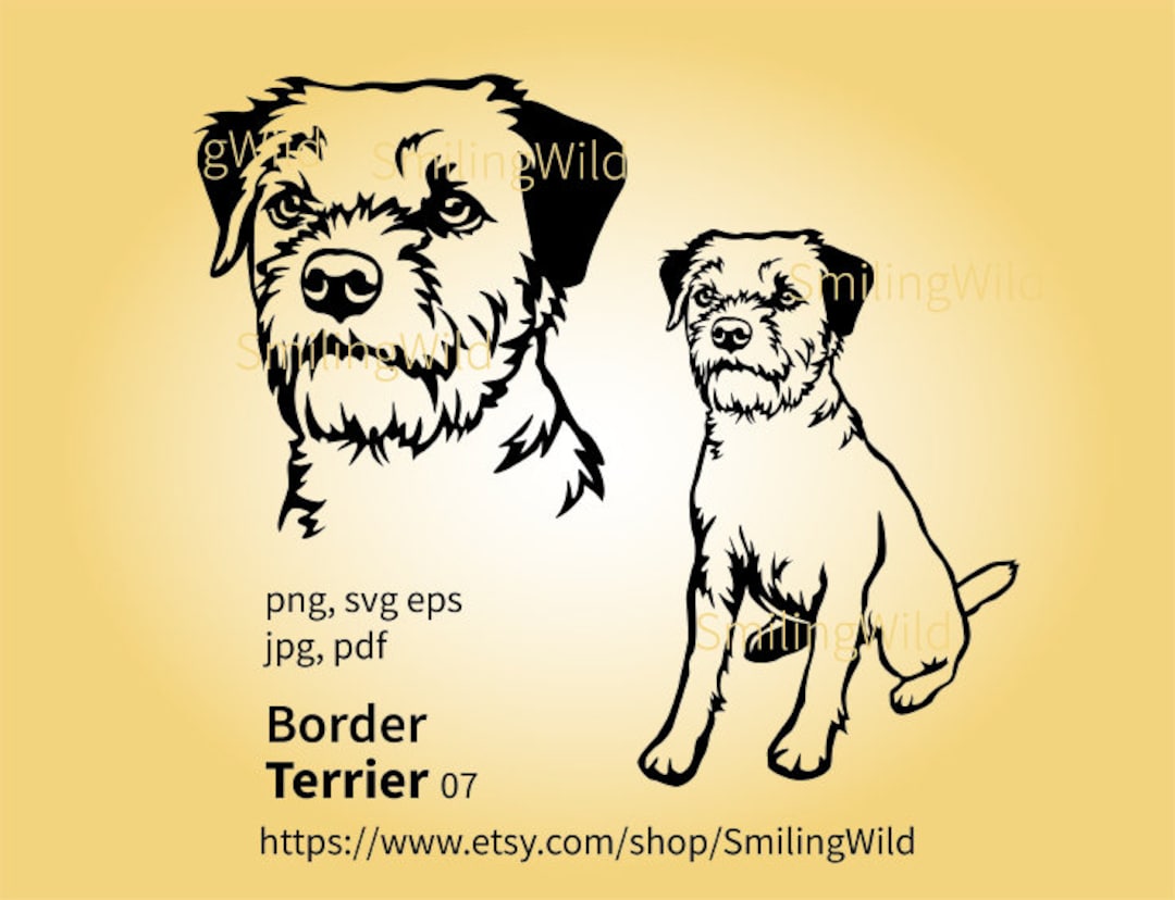 Border terrier x best sale chihuahua