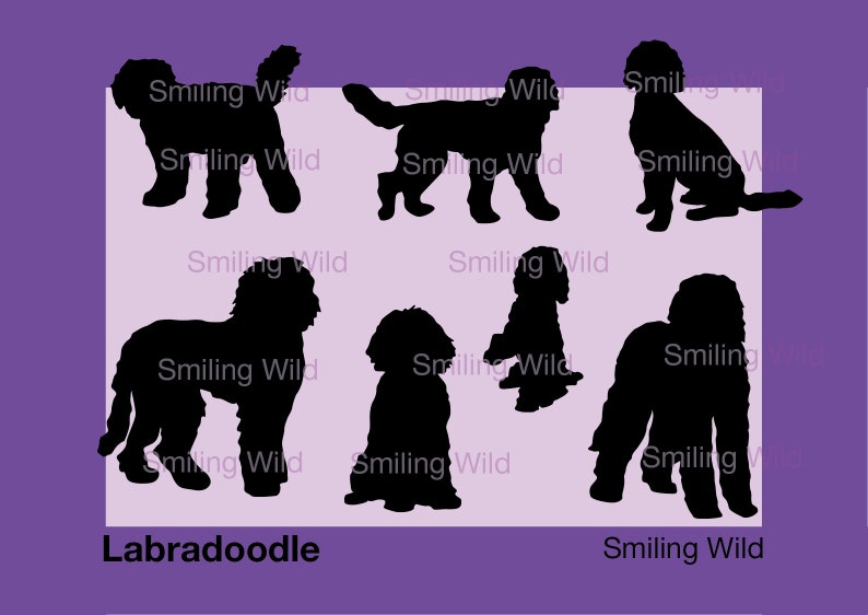 Download Labradoodle silhouette svg dog vector graphic art Labradoodle | Etsy