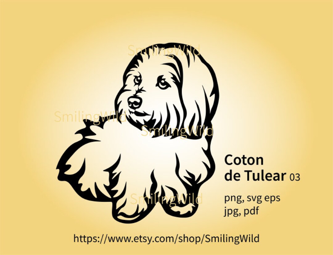 Coton de Tuléar svg clipart portrait Coton de Tuléar tête de chien