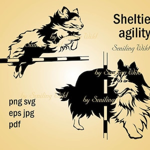 Sheltie behendigheid svg clipart sheltie hond vector grafische kunst shetland herdershond png afdrukbare sheltie ontwerp digitale knipsel Graveerbare eps