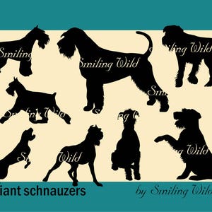 Riesenschnauzer svg png Silhouette Bundle | Hund gebende Pfote Schnauzer | Hund Clipart commerziell |Riesenschnauzer Vektorgrafik commerziell