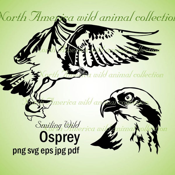 osprey svg sea hawk clipart art bird of prey vector graphic art svg cut file cuttable digital design osprey png