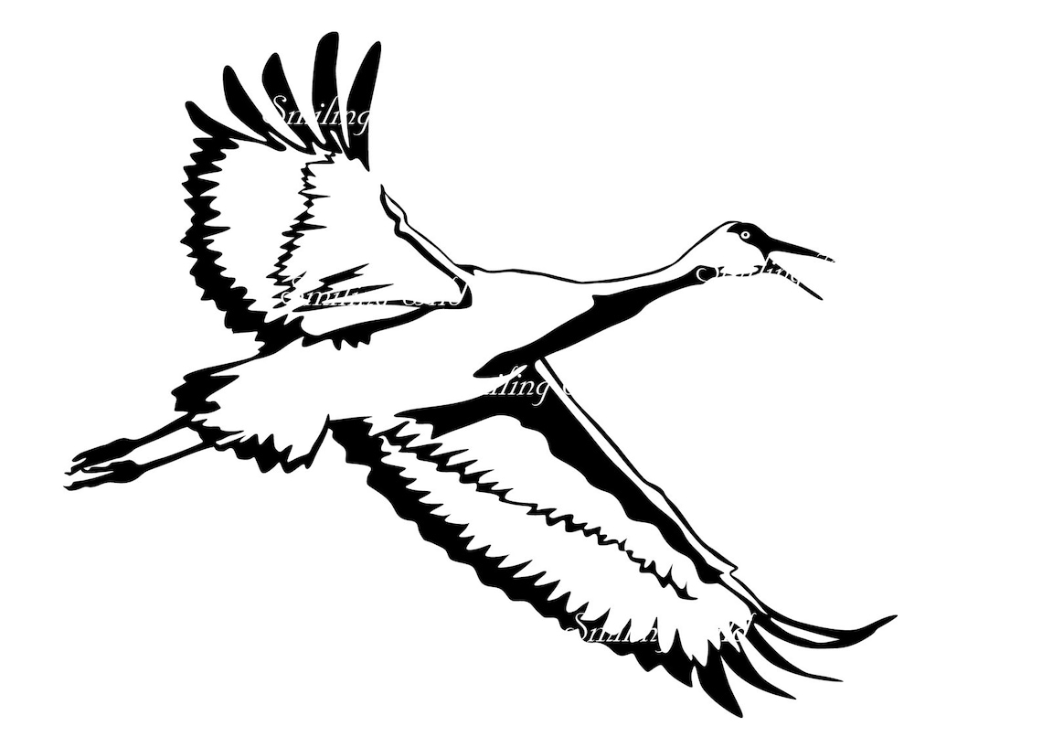 Sandhill Crane Art Svg Clipart Vector Graphic North America Etsy sandhill-crane-art-svg-clipart-vector-graphic-north-america-etsy