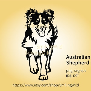 Australian Shepherd svg walking dog vector graphic, Aussie cuttable digital clip art, dog prey drive illustration