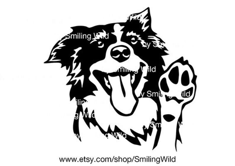 Download Border collie portrait svg smiling dog head cut file ...