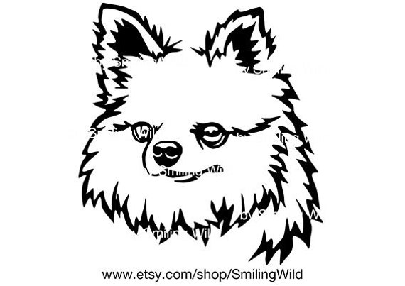 77+ Chihuahua Head Clipart - l2sanpiero