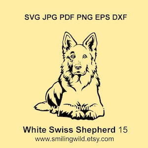 Berger Blanc Suisse hond SVG, PNG, DXF portret – realistische witte Zwitserse Shwpherd honden clipart Vector Cricut, lasersnijden, Instant Download