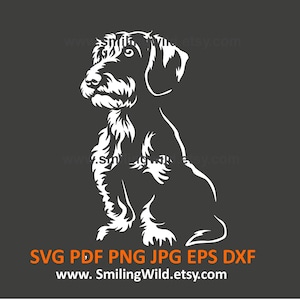 Drahthaar Dackel SVG PNG DXF - Realistischer süßer Dackel Weiß vektor-Cliparts für Logo, Grafik, Basteln, Cricut, Laser schneiden