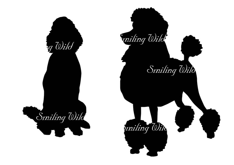 Download Poodle svg silhouette dog clipart cut out vector graphic art | Etsy