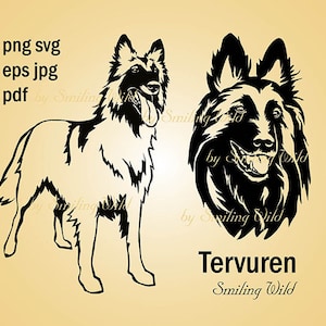 Tervuren svg clipart art vector graphic Belgian Shepherd Dog art svg portrait printable download tervuren cuttable outcut image 1