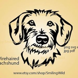 Drahthaar Dackel SVGPNG Kopf Clipart Vektorgrafik lächelnder Hund, niedlicher Dackel Schnittdatei schneidbare Cricut digitales Design