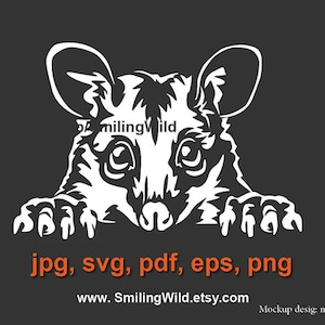 Gambá de cauda de escova comum svg png, arquivo de clipart vetorial cortável de gambá australiano, retrato de animal australiano svg